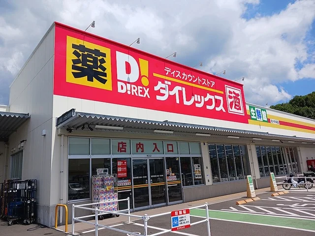 ダイレックス佐々中央店まで1093m
