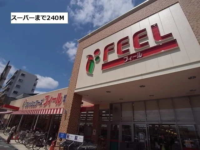 フィールまで240m