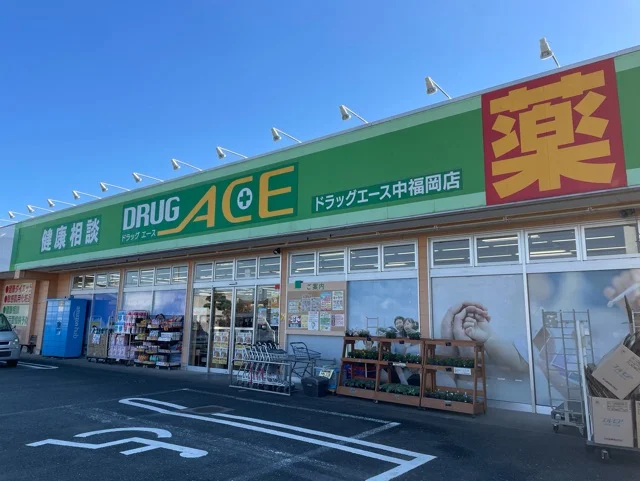 ドラッグエースふじみ野店まで500m