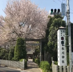 長宮氷川神社まで450m