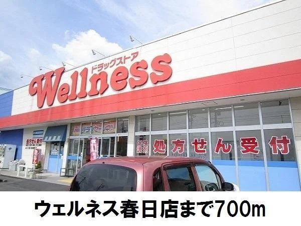 ウェルネス春日店まで700m