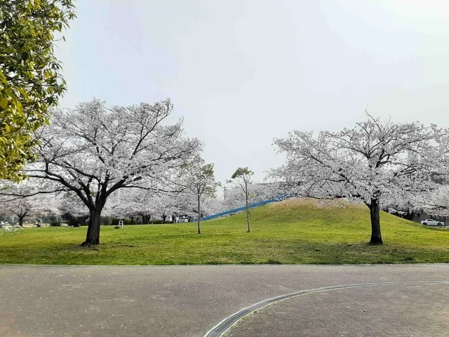 葵が丘公園まで200m