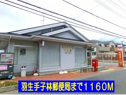羽生手子林郵便局まで1160m