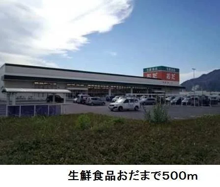 生鮮食品おだまで500m
