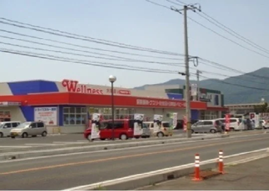 ウェルネス大塚店まで400m