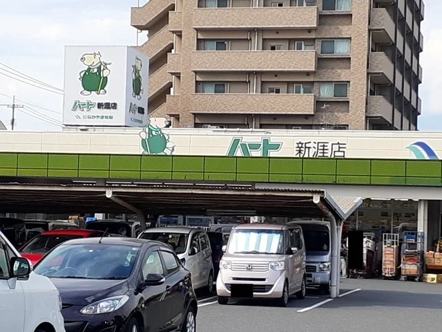 ハート新涯店まで300m