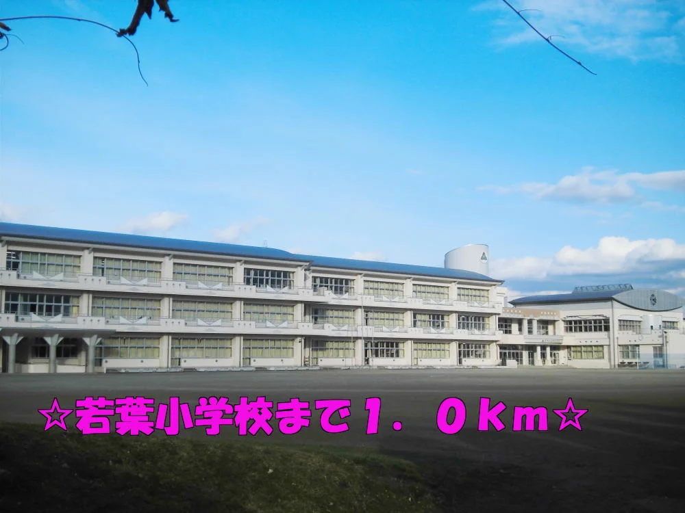 若葉小学校まで1000m