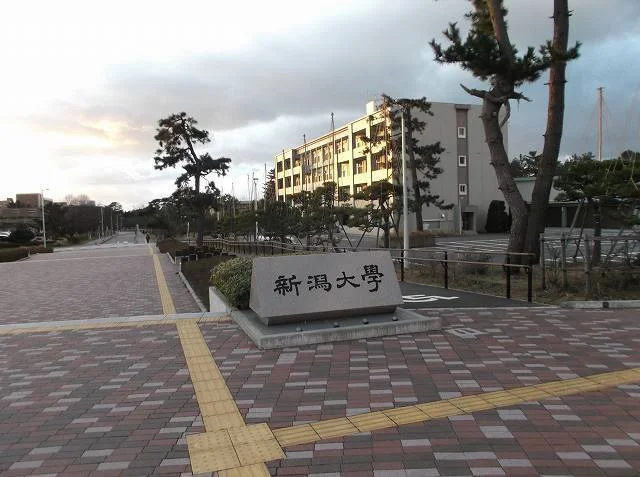 新潟大学まで800m
