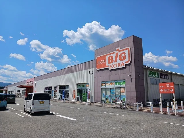 ザ・ビッグエクストラ氷上店まで950m