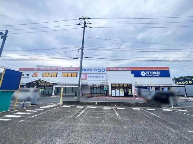 TRIDRUG GOまで750m