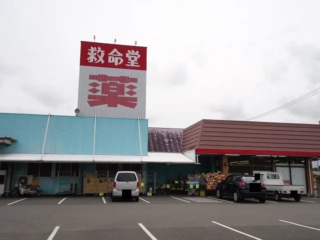 救命堂川南店まで500m