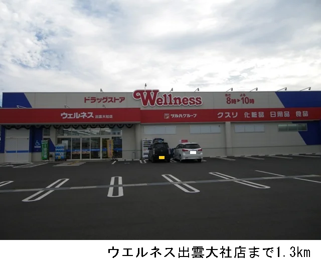 ウエルネス出雲大社店まで1300m