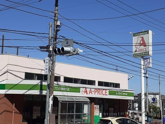 Aプライス溝の口店まで500m
