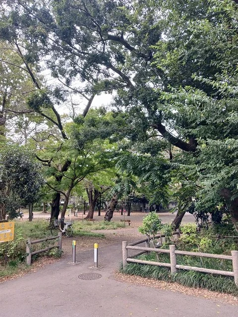 善福寺公園まで479m