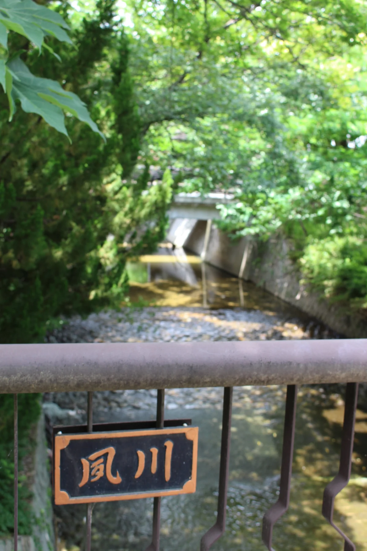夙川沿いで自然豊か