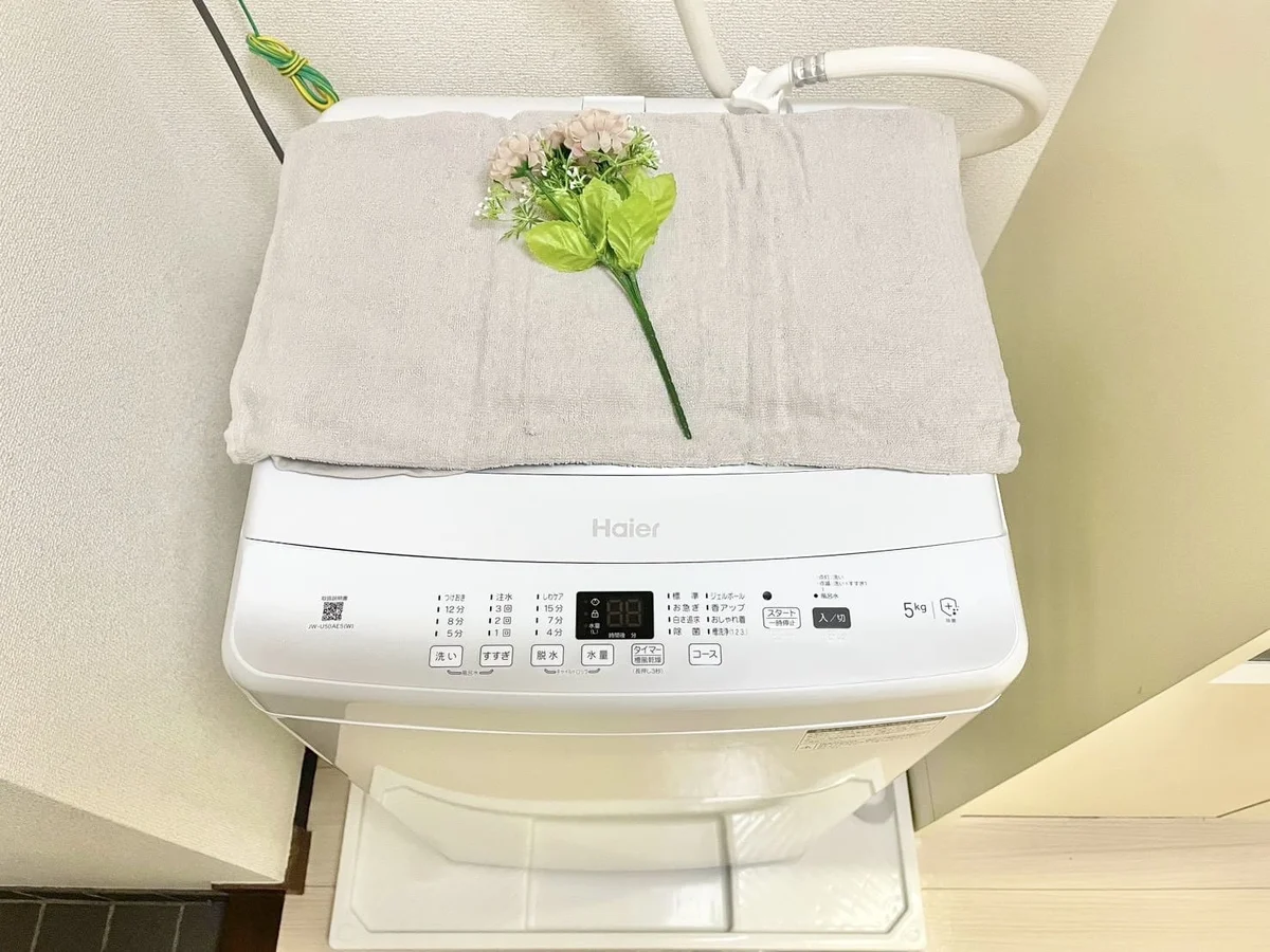 ※撮影用の観察植物・食器調理器具・雑貨類等はございません。※写真は現況優先