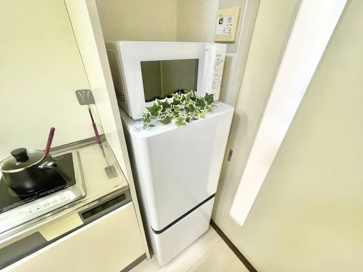 ※撮影用の観察植物・食器調理器具・雑貨類等はございません。※写真は現況優先