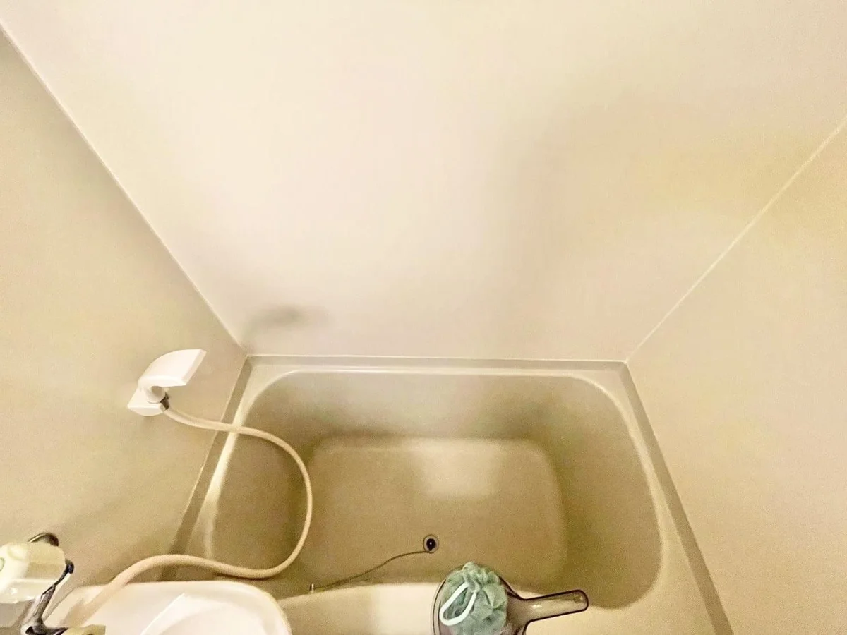 ※撮影用の観察植物・食器調理器具・雑貨類等はございません。※写真は現況優先
