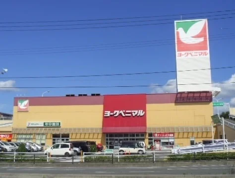 ヨークベニマル南福島店まで700m