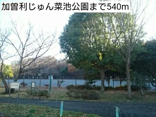 加曽利じゅん菜池公園まで540m