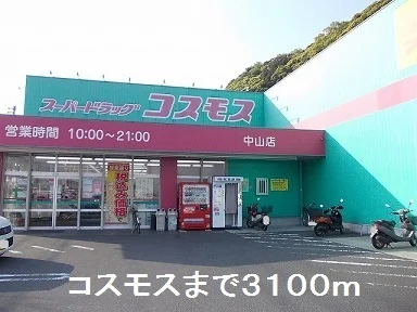コスモスまで3100m