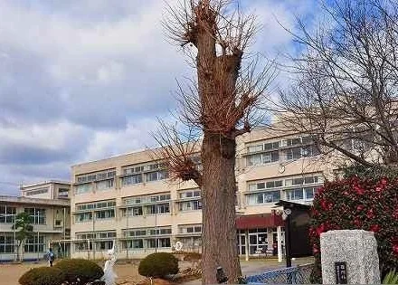 平磯小学校まで500m