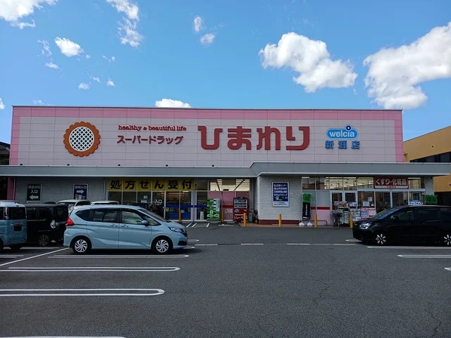 ひまわり新涯店まで600m