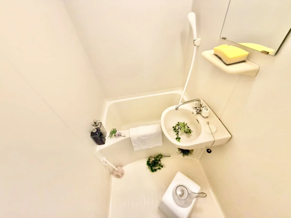 ※撮影用の観察植物・食器調理器具・雑貨類等はございません。※写真は現況優先