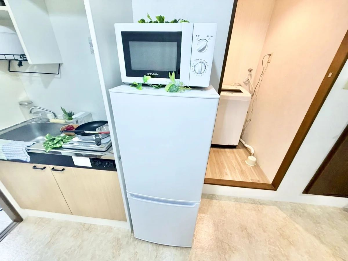 ※撮影用の観察植物・食器調理器具・雑貨類等はございません。※写真は現況優先