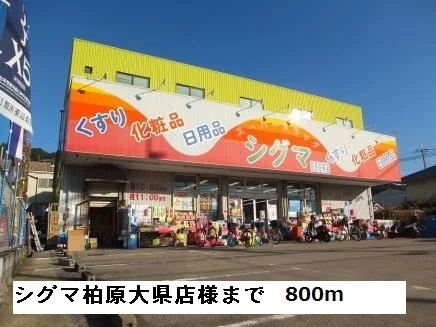 シグマ薬品柏原大県店様まで800m