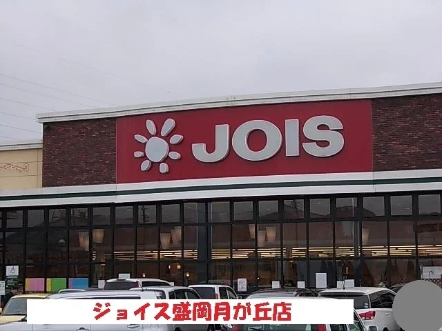 ジョイス盛岡月が丘店まで400m