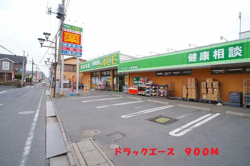 ドラックエースまで900m