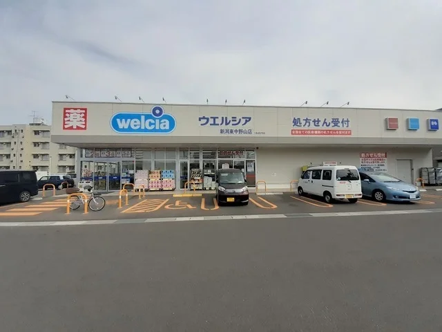 ウェルシア　東中野山店まで850m