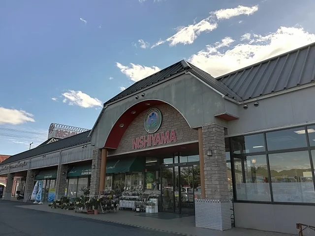 ニシヤマ荒河店まで600m