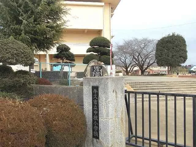 牛久市立中根小学校まで800m
