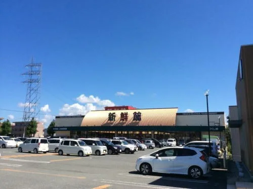 ハニー新鮮館 つくし野店まで1100m