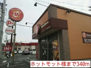 ホットモット様まで340m