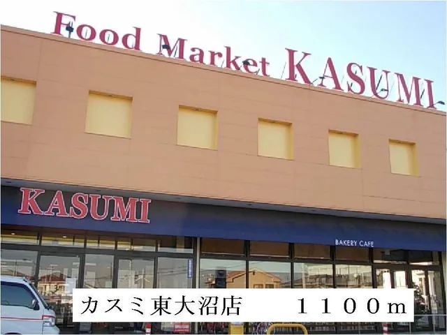 カスミ東大沼店まで1100m