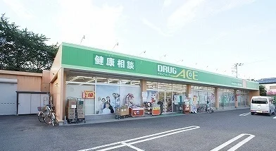 ドラッグエースまで250m