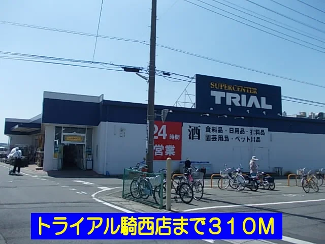 トライアル騎西店まで310m