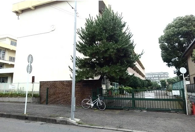相模原市立緑台小学校まで500m