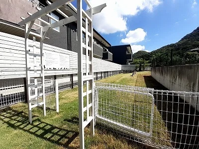 ドッグランまで30m