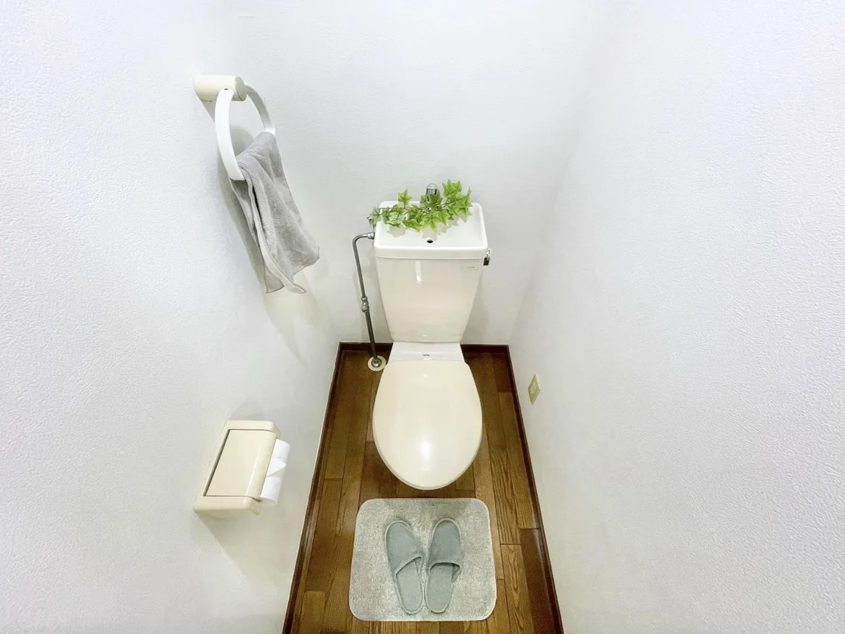 ※撮影用の観察植物・食器調理器具・雑貨類等はございません。※写真は現況優先