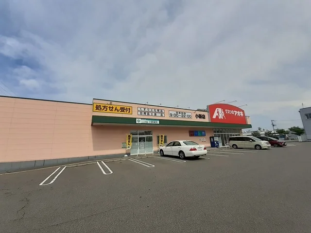 クスリのアオキ小新店まで350m