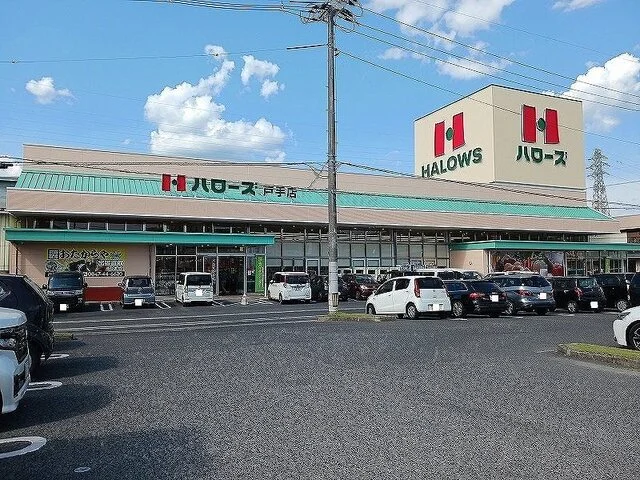 ハローズ戸手店まで1300m
