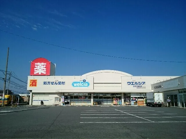 ウエルシア玉村下新田店まで2700m