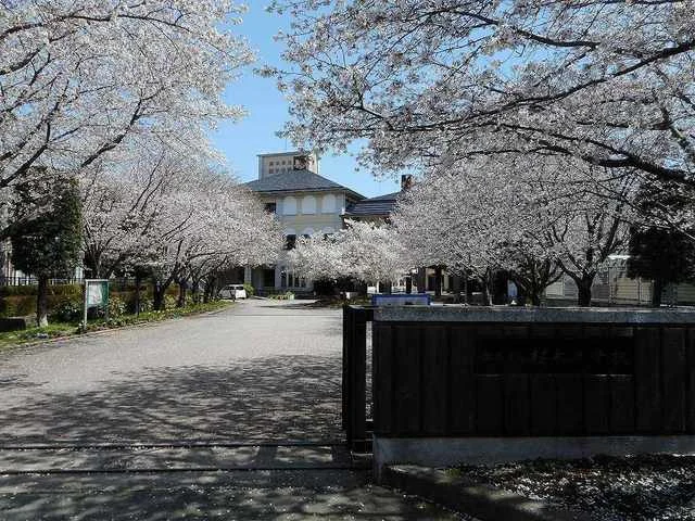 桜木中学校まで350m