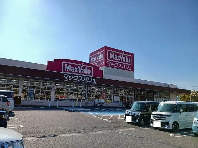 マックスバリュ浅江店まで700m