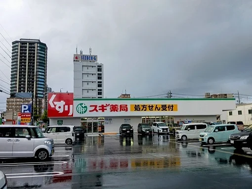スギ薬局東静岡店まで300m