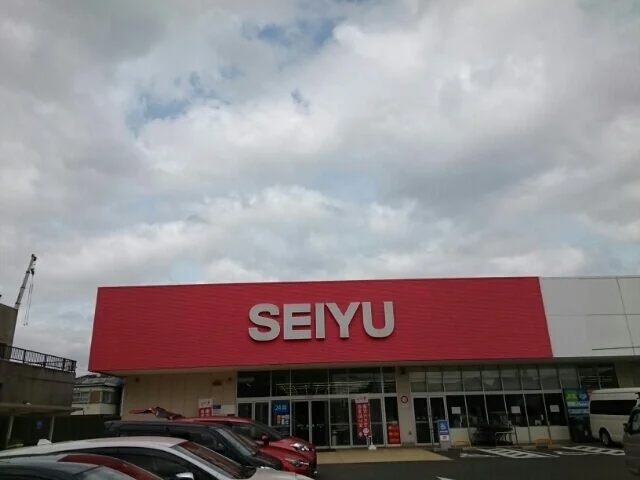西友勝川店まで1200m